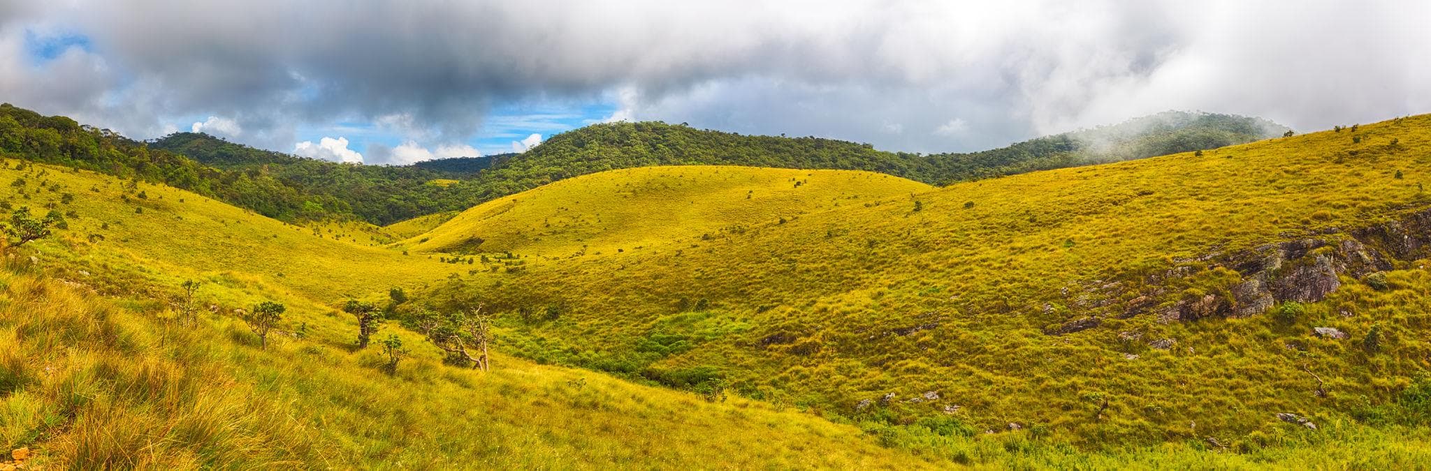 Open grasslands of Horton Plains National Park