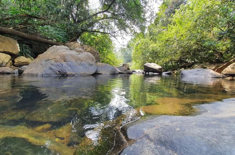 Natural rock pools surrounded by tropical forest in Kitulgala