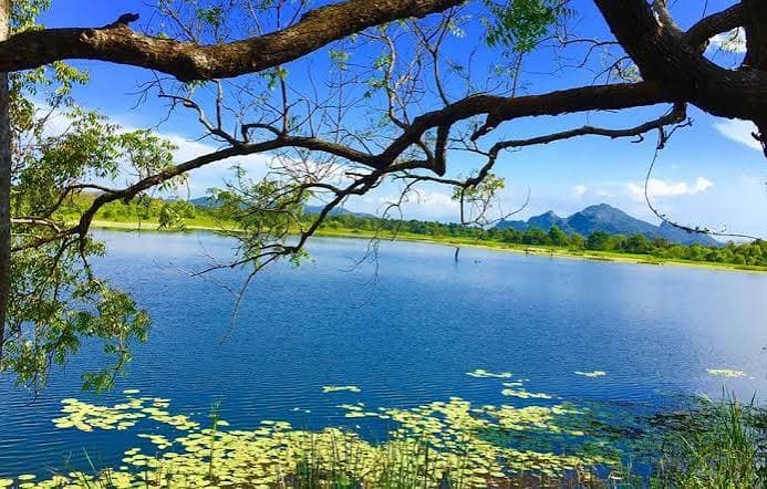Peaceful natural landscape near Habarana in Sri Lanka