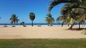 Palm-lined beach and calm waters at Pasikuda Bay