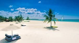 Pasikuda Beach with white sand and palm trees