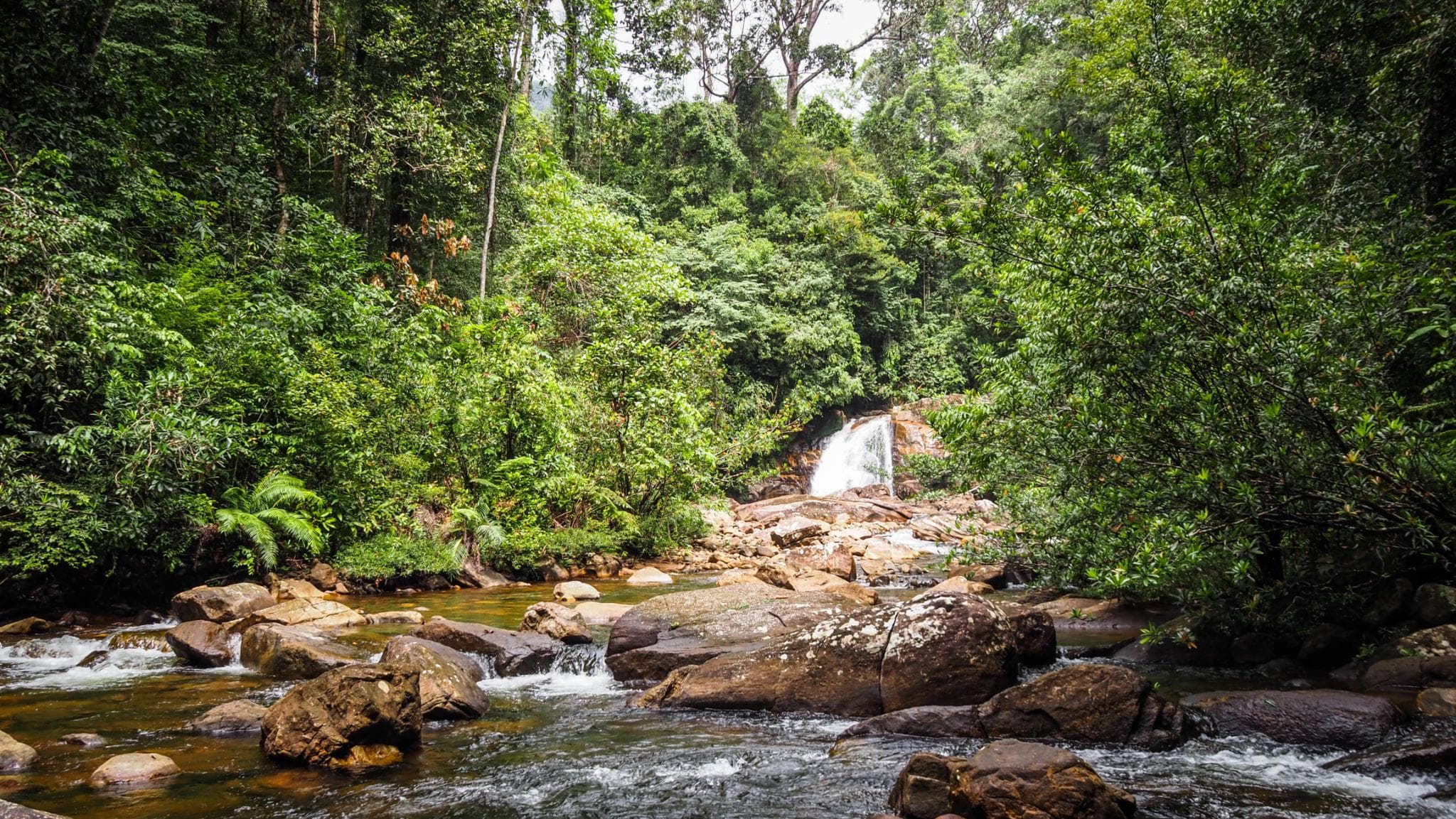 Waterfall surrounded by rainforest at Sinharaja Sri Lanka