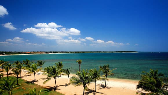 Jungle Beach surrounded by tropical greenery near Unawatuna