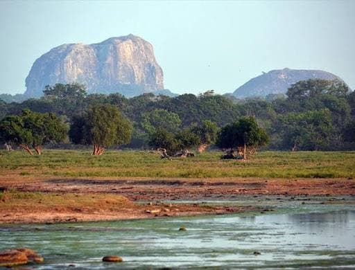 Yala, Sri Lanka