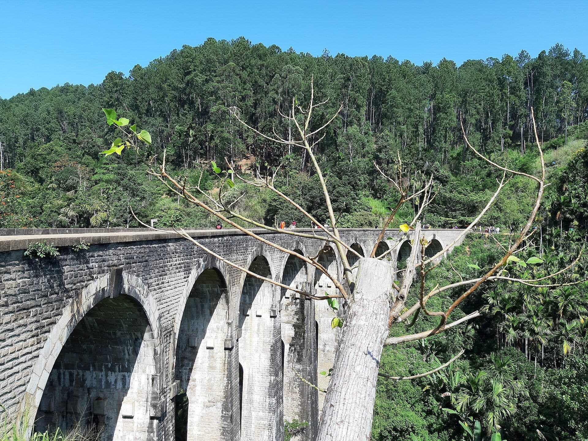 Nine Arch Bridge in Ella surrounded by green forest in Sri Lanka